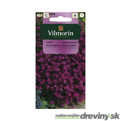 Vilmorin klinček slzičkový semiačka