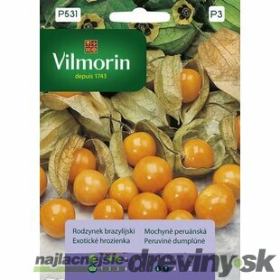 Vilmorin PREMIUM Exotické hrozienka 0,1 g