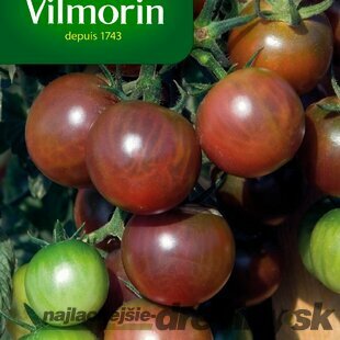 Vilmorin PREMIUM Rajčiak zemný vysoký BLACK CHERRY 0,2 g