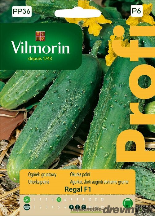 Vilmorin PREMIUM Uhorka poľná REGAL F1- skorá 15 z g