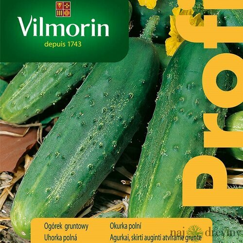 Vilmorin PREMIUM Uhorka poľná REGAL F1- skorá 15 z g