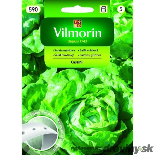 Vilmorin šalát Cassini na výsevnom pásiku 7 m