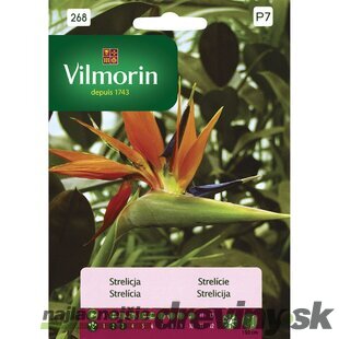 Vilmorin Strelícia semiačka 10 ks