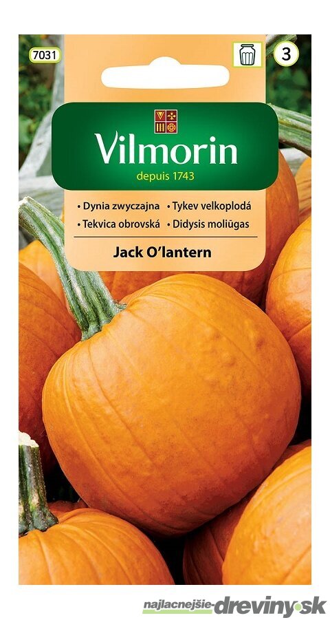 Vilmorin tekvica obrovská Jack O’lantern (Halloween) 2 g