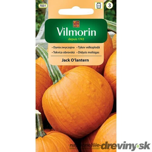 Vilmorin tekvica obrovská Jack O’lantern (Halloween) 2 g