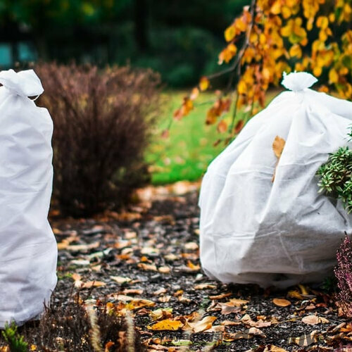 Zazimovacia netkaná textília biela 50 g/m2, 1 m bežný z rolky šírka 1,6 m