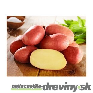 Zemiaky ROSARA sadbové červené veľmi skoré 5kg